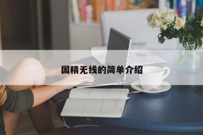 国精无线的简单介绍