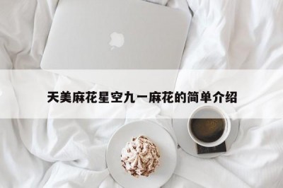 天美麻花星空九一麻花的简单介绍
