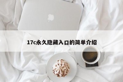 17c永久隐藏入口的简单介绍