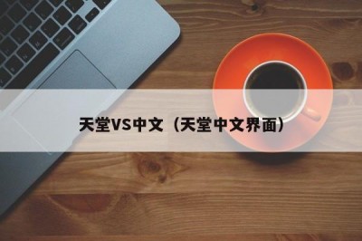 天堂VS中文（天堂中文界面）