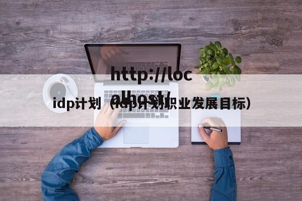 idp计划(idp计划职业发展目标)